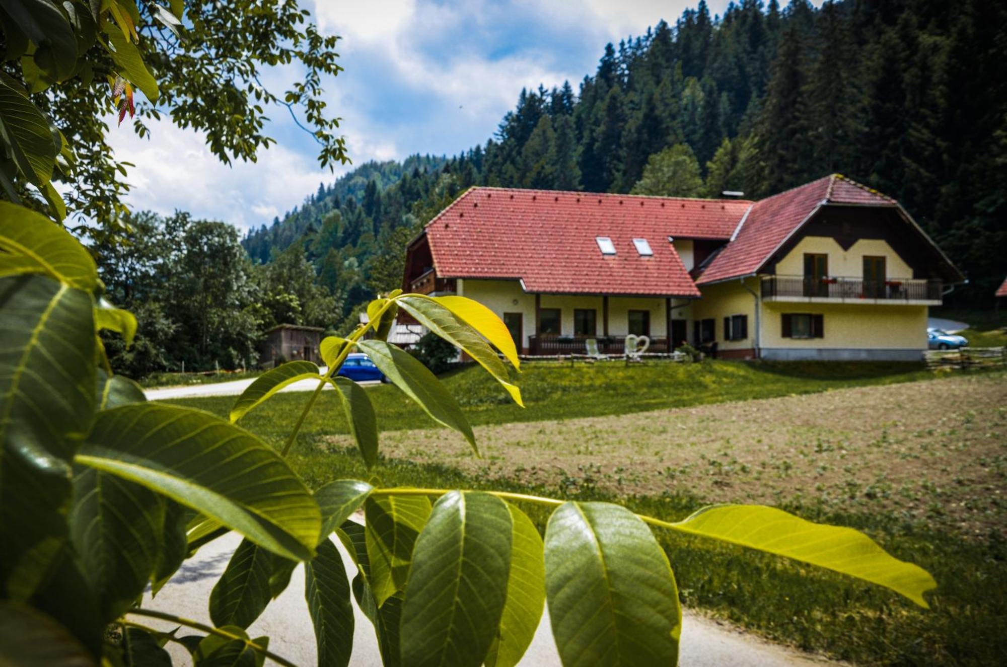 Farm Stay Loger Ljubno 外观 照片